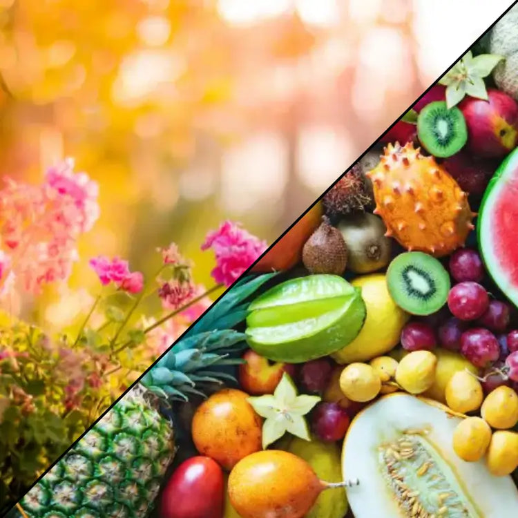Floral/Frutal