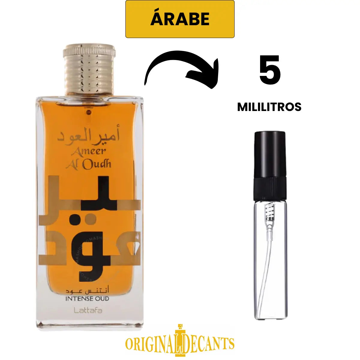 AMEER AL OUDH INTENSE