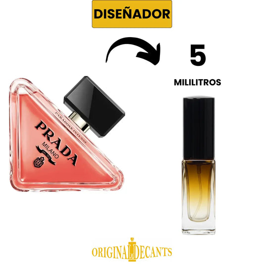 PARADOXE INTENSE
