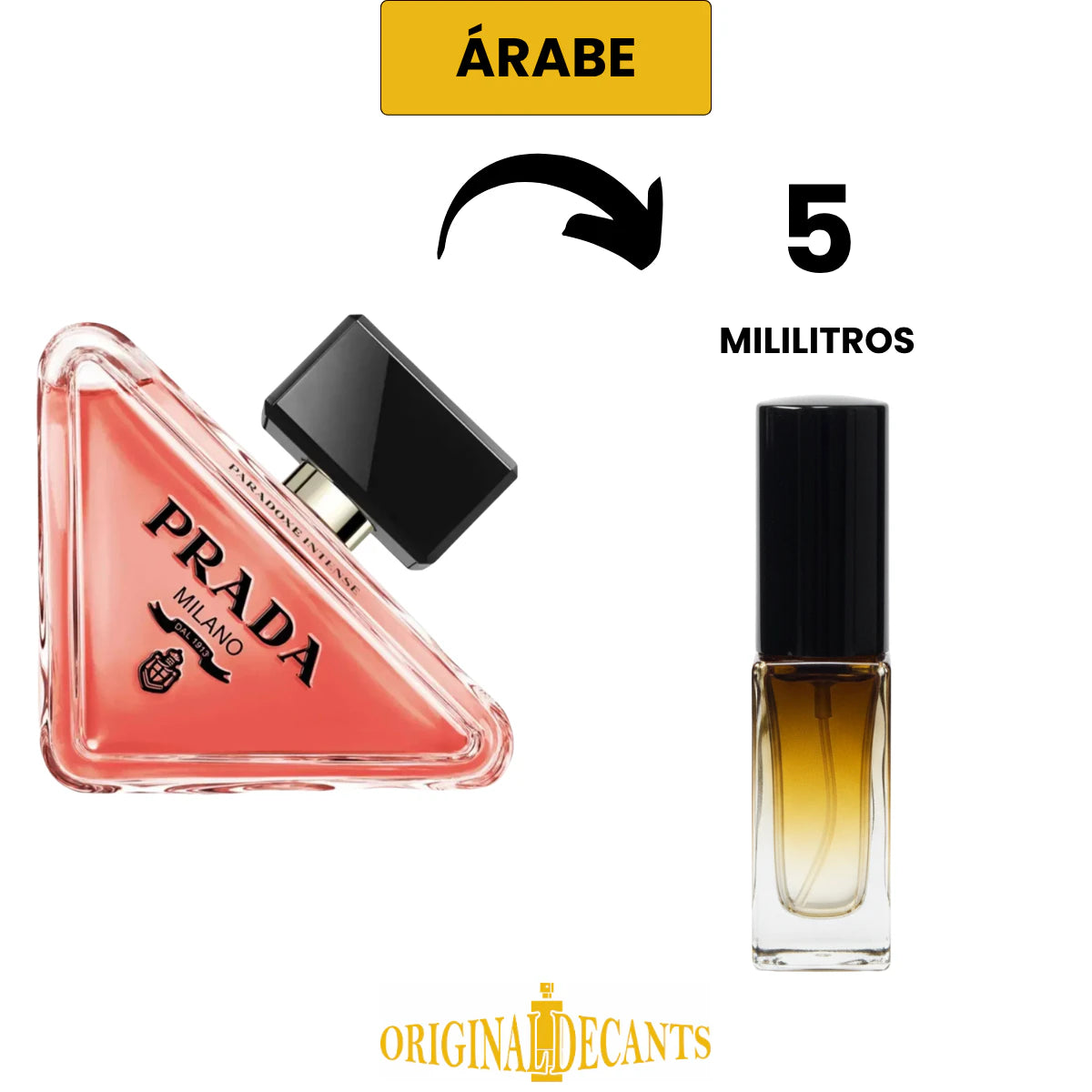 PARADOXE INTENSE