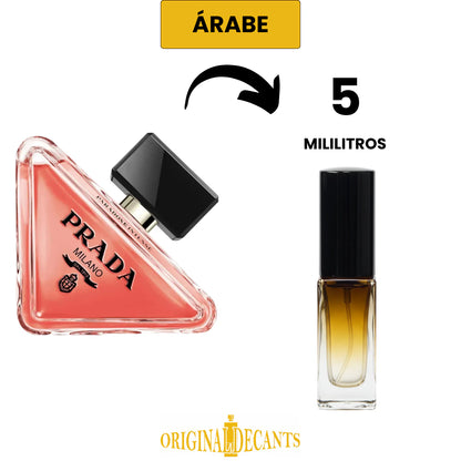 PARADOXE INTENSE